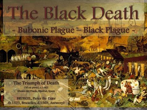 medieval 2 black death|Medieval 2 Total War: The Black Death .